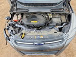 Ford Escape 2013