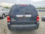 Ford Escape 2011