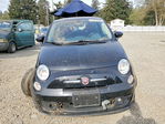 Fiat 500 2019