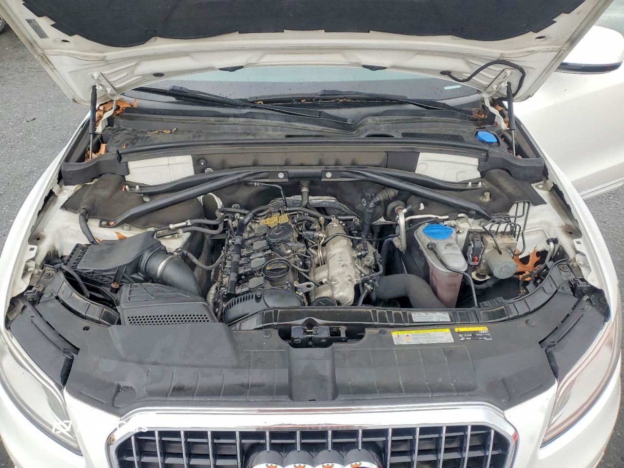 Audi Q5 2016