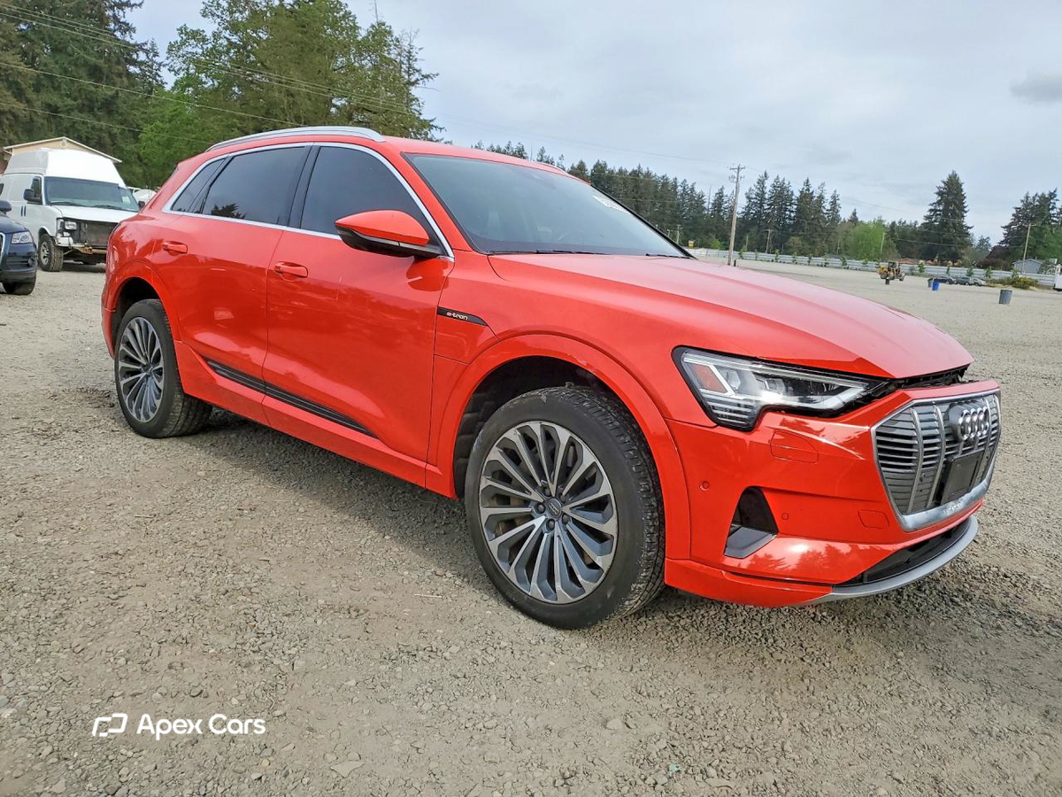 Audi e-tron 2019