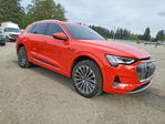 Audi e-tron 2019