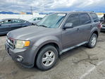 Ford Escape 2009