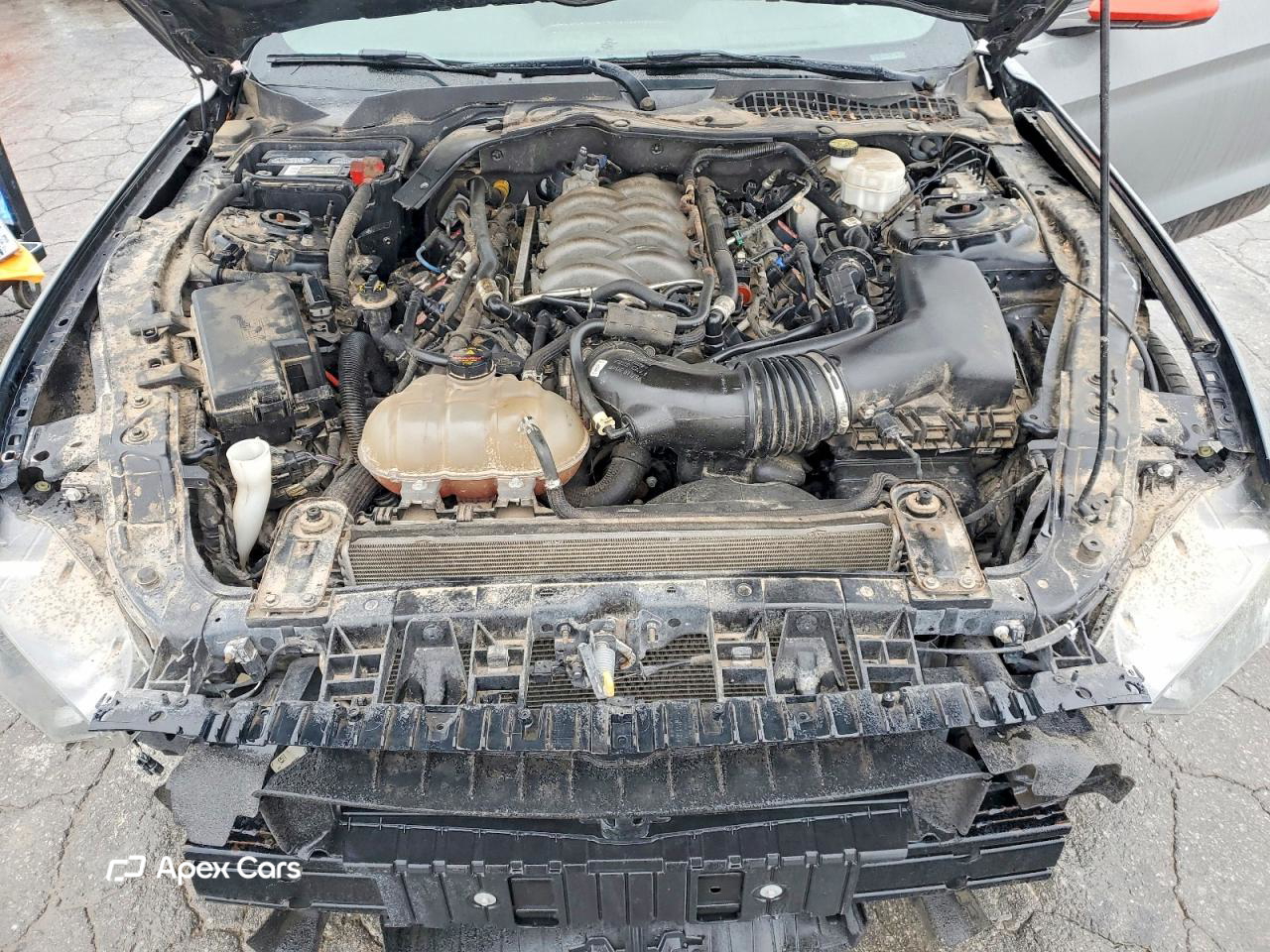 Ford Mustang 2019