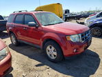 Ford Escape 2014