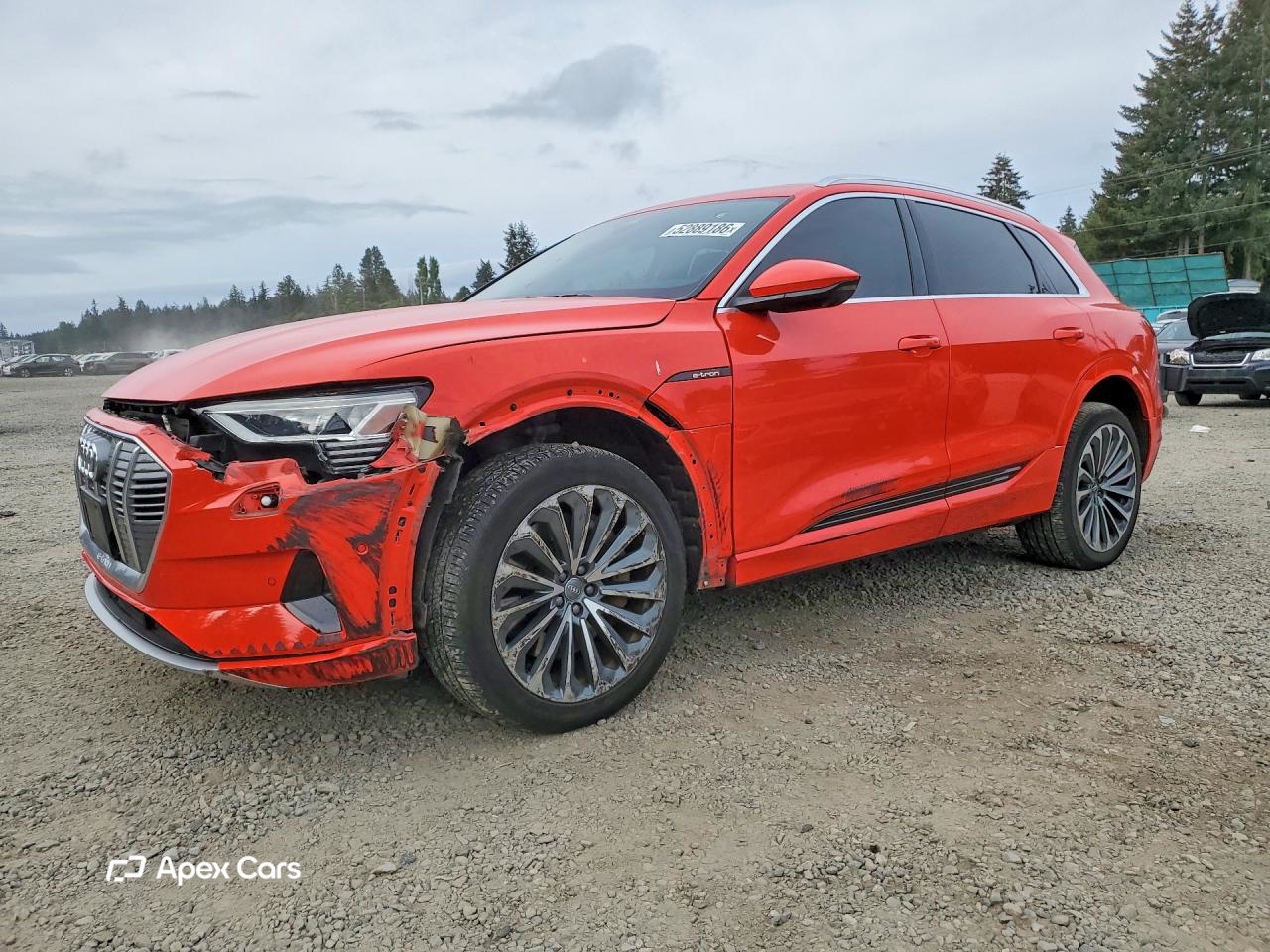 Audi e-tron 2019