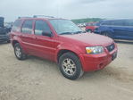 Ford Escape 2005