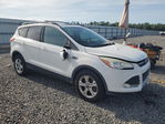 Ford Escape 2013