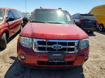 Ford Escape 2014