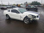 Ford Mustang 2006
