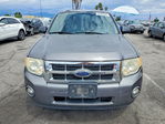 Ford Escape 2009