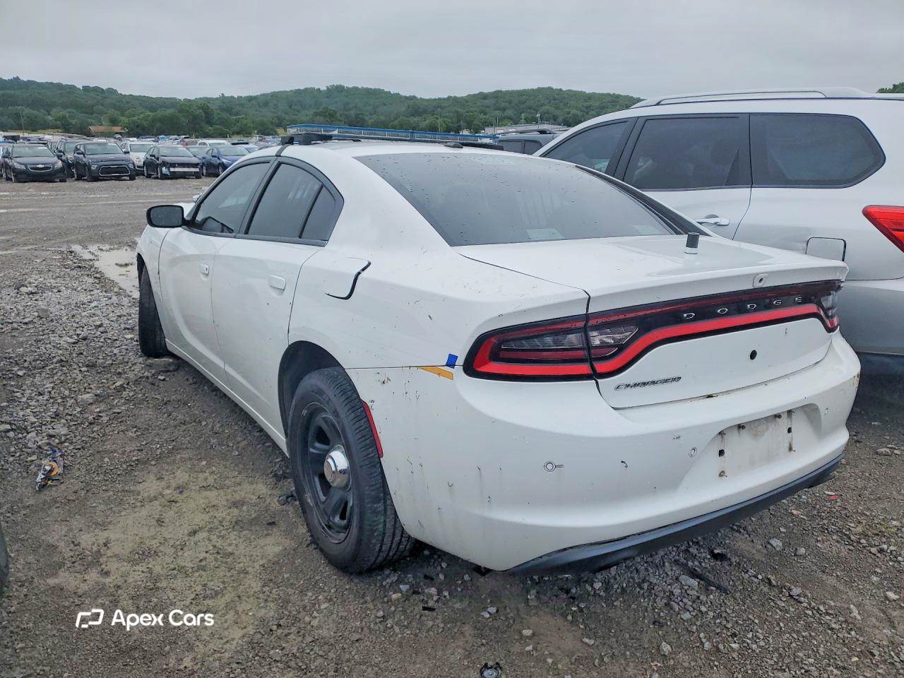 Dodge Charger 2021