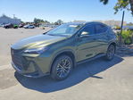 Lexus NX 2023