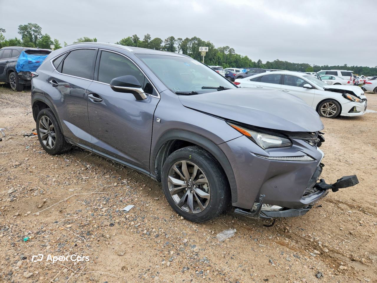 Lexus NX 2015