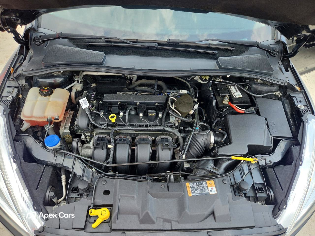 Ford Focus 2015