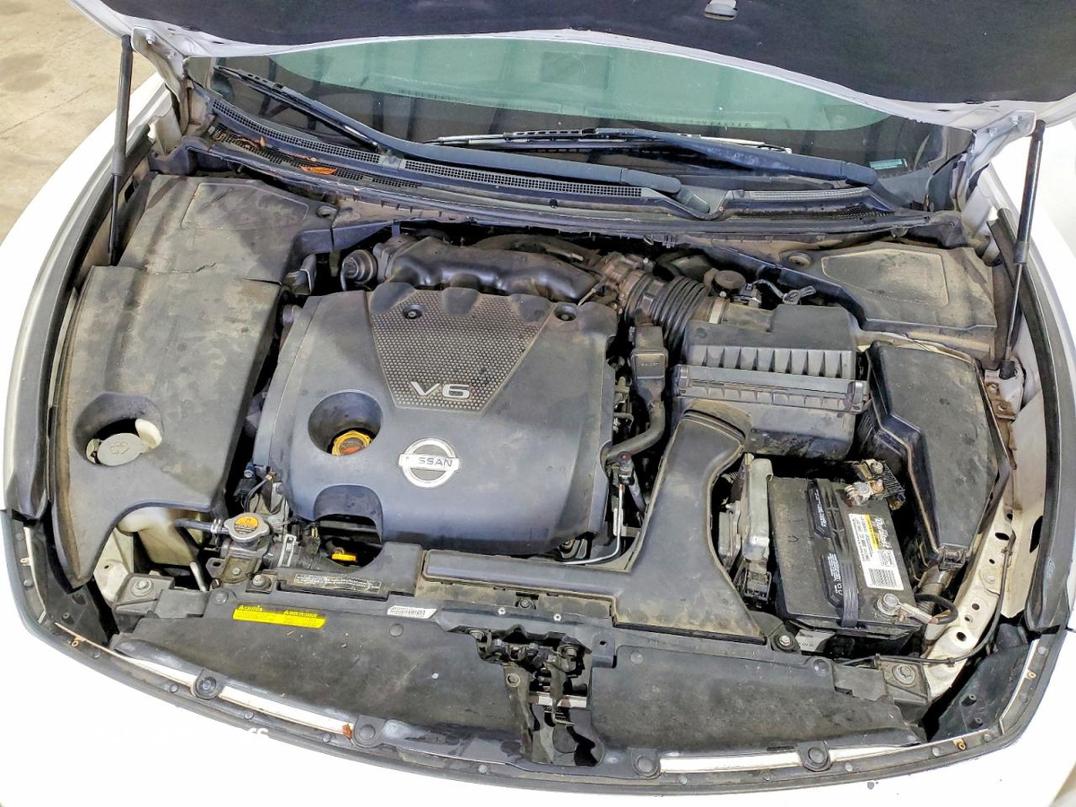 Nissan Maxima 2011
