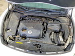 Nissan Maxima 2011