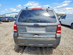Ford Escape 2010