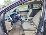 Ford Escape 2013
