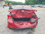 Hyundai Elantra 2014
