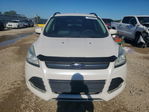 Ford Escape 2016