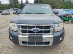 Ford Escape 2008