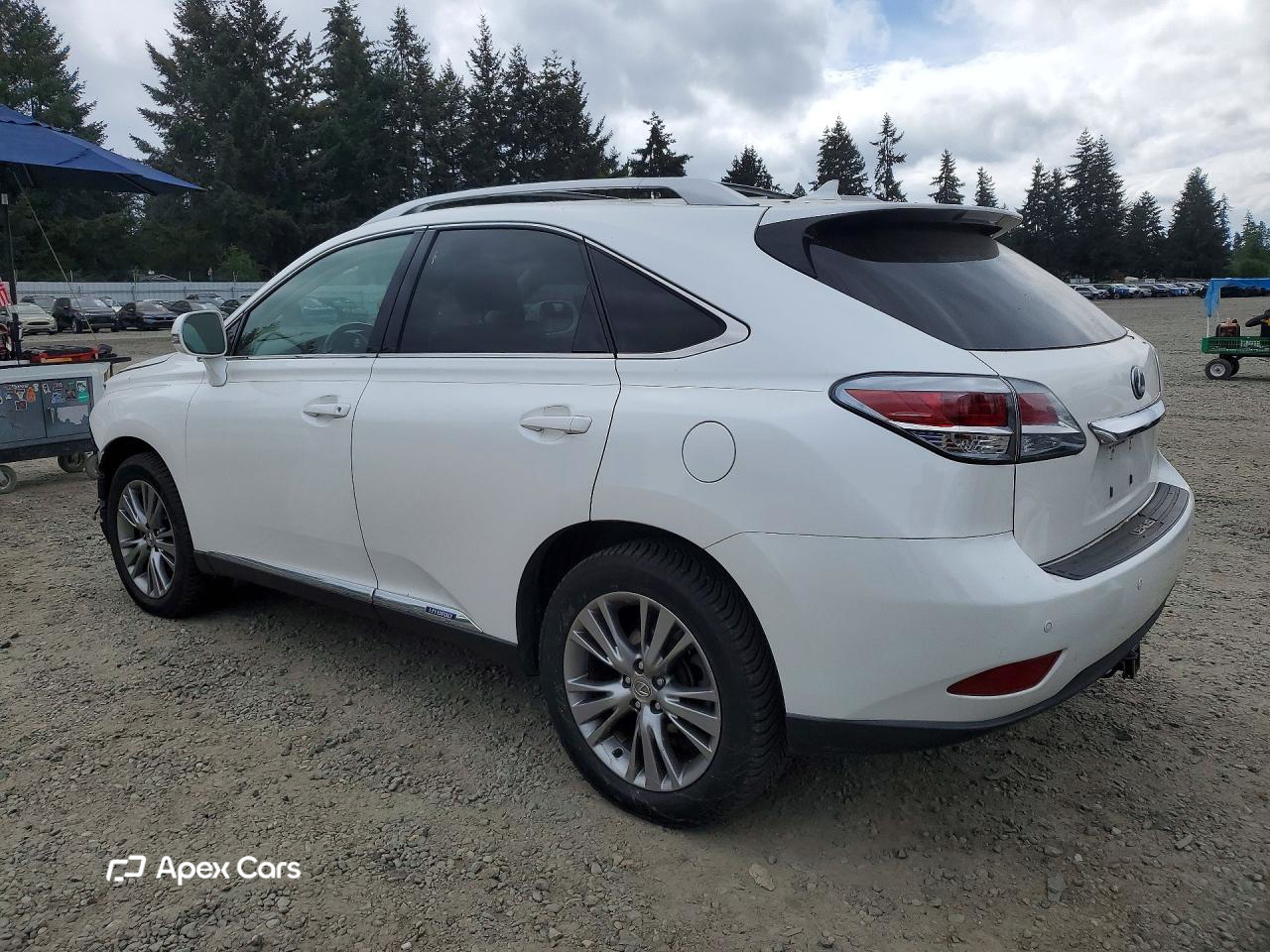 Lexus RX 2013