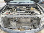 Ford F-150 2010