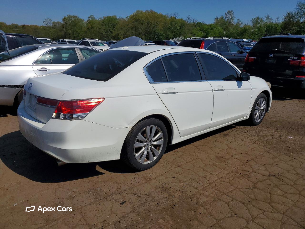 Honda Accord 2011