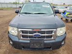 Ford Escape 2008