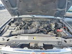 Ford Ranger 2007