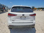 Lexus NX 2020