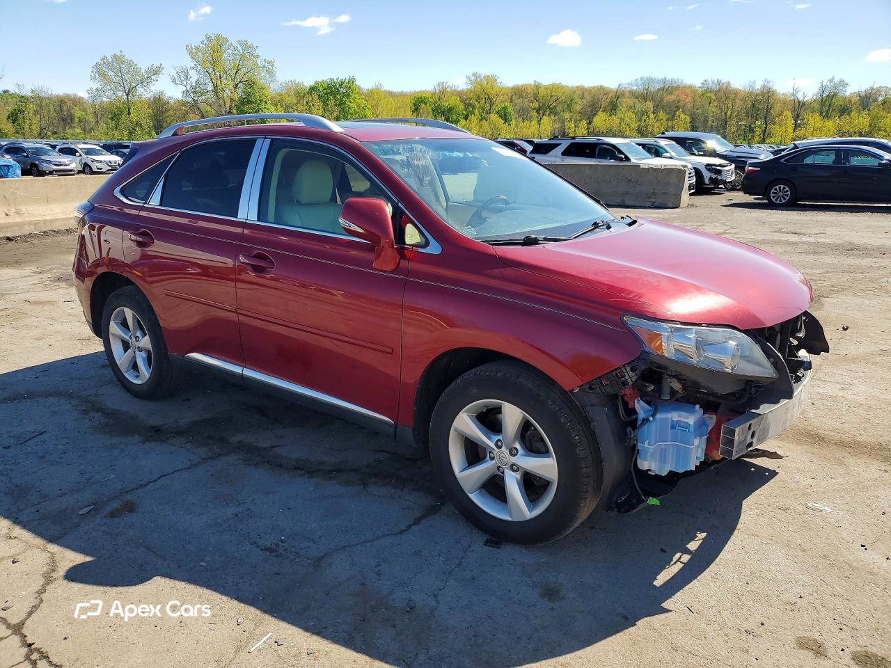 Lexus RX 2010