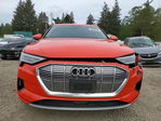 Audi e-tron 2019