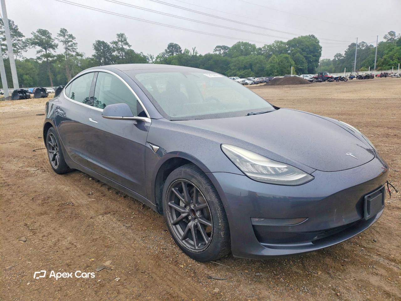 Tesla Model 3 2019