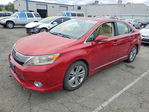 Lexus HS 2010