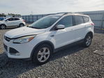 Ford Escape 2013