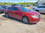Nissan Altima 2017