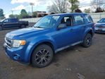 Ford Escape 2010