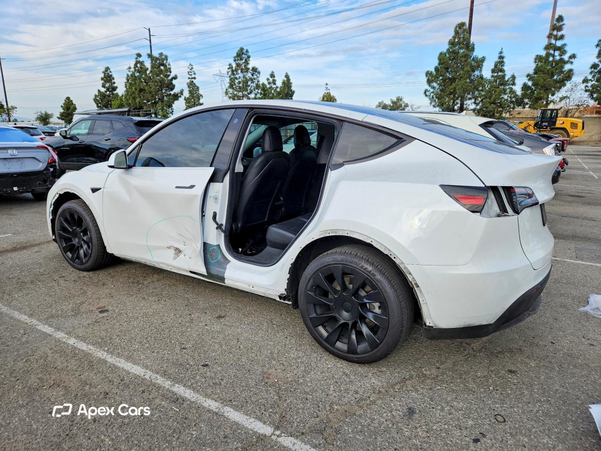 Tesla Model Y 2021