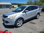Ford Escape 2016