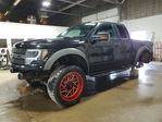 Ford F-150 2010