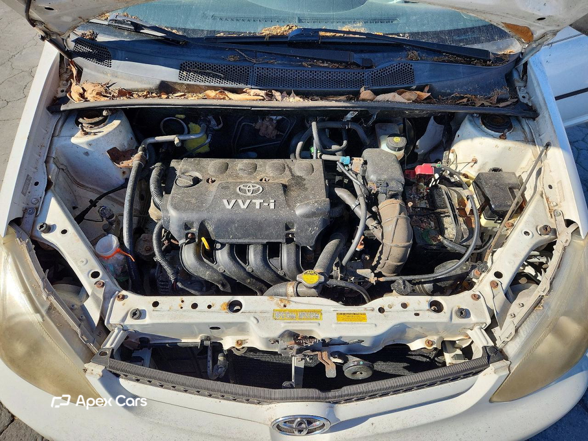 Toyota Echo 2003