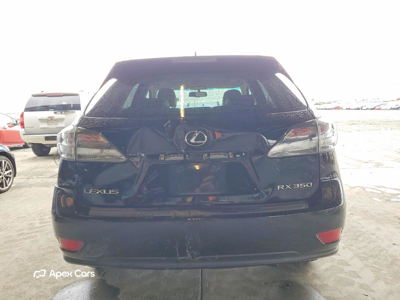 Lexus RX 2010