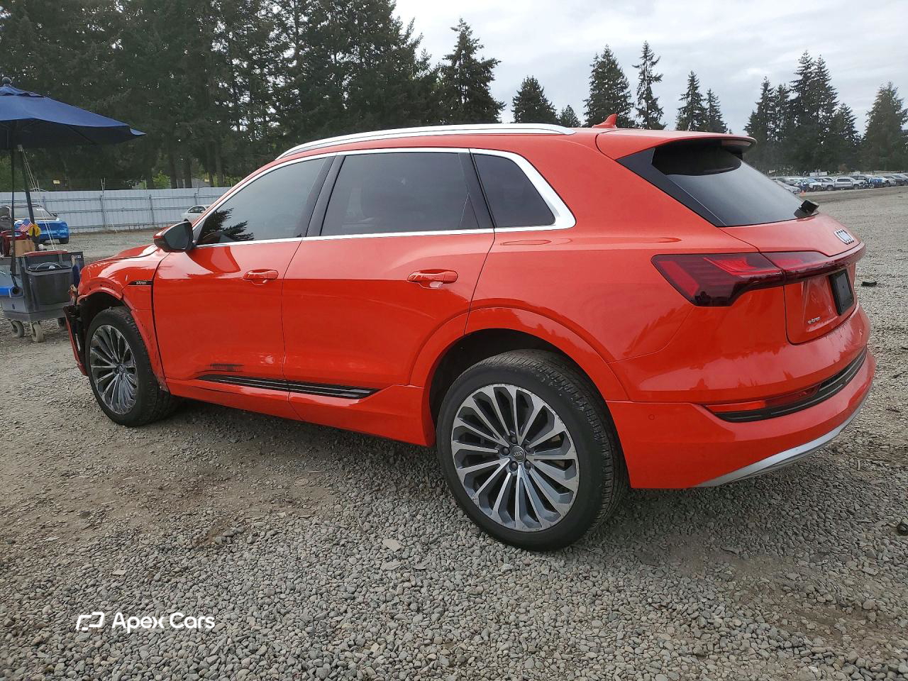 Audi e-tron 2019