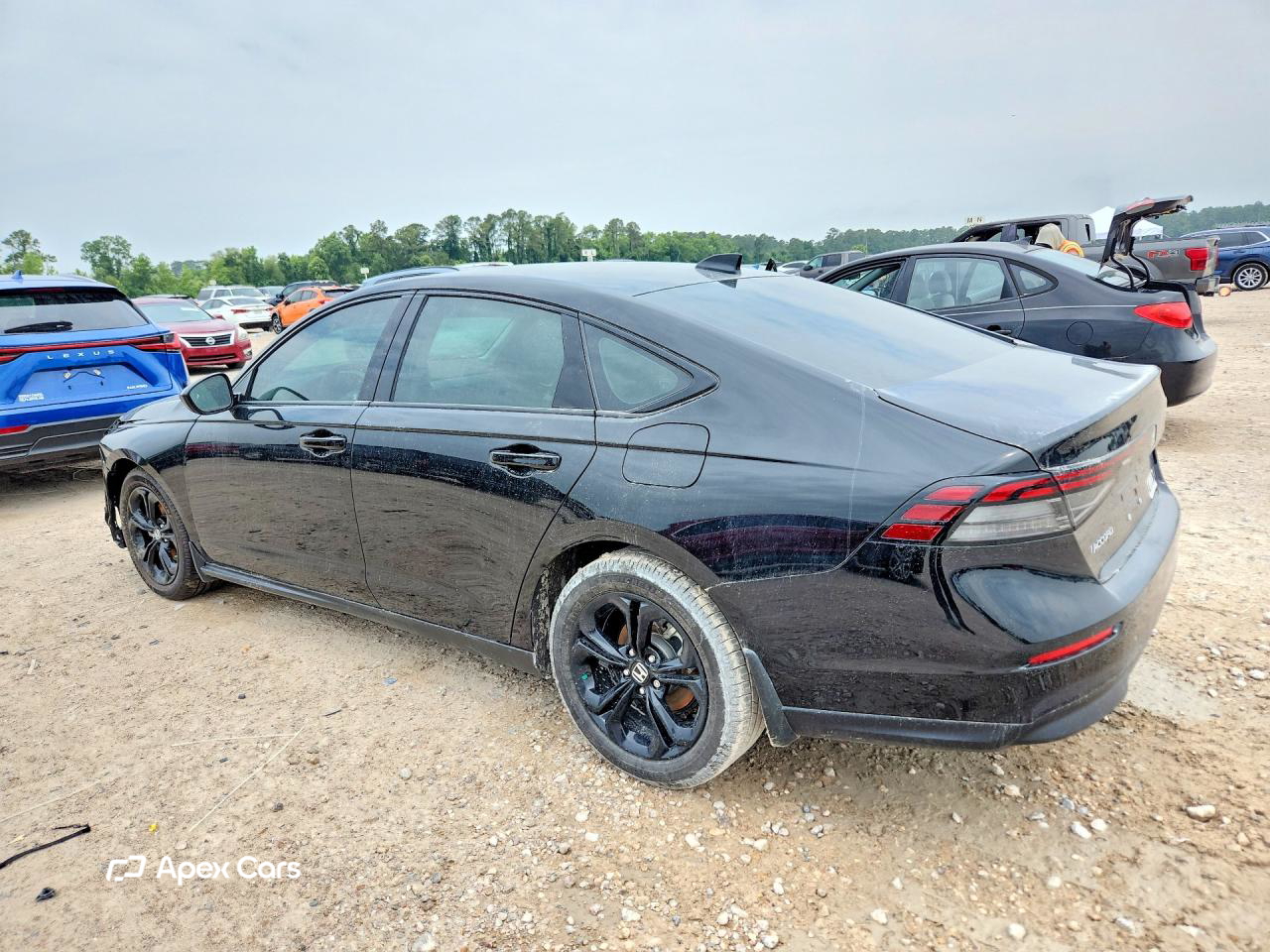Honda Accord 2025
