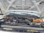 Ford F250 2012