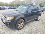 Ford Escape 2011