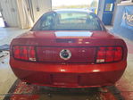 Ford Mustang 2006