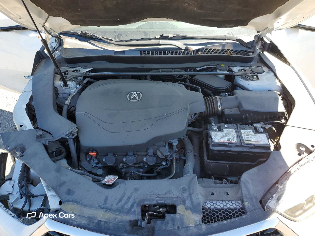Acura TLX 2019